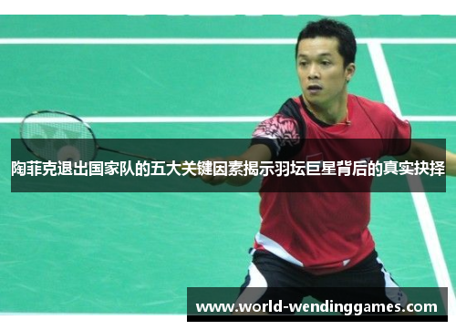 陶菲克退出国家队的五大关键因素揭示羽坛巨星背后的真实抉择